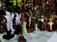 Kurusu Ára A vase of flowers on a table