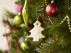 The 12 Days of Christmas A close up of a flower