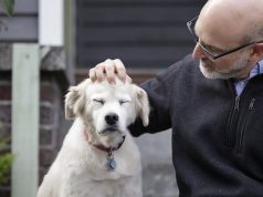 Behaving Like an Animal Pt. 3 A man and a dog sitting in front of a building