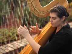 Harps, harps and more harps! A person standing in front of a fence
