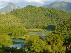 The Atlantic Forrest A large body of water with a mountain in the background
