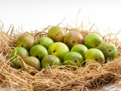 Handle! A pile of hay