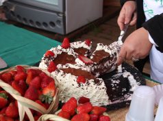 Strawberries Galore in Areguá A person cutting a cake with fruit on top of a table