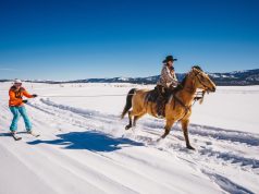 PY Agenda: Winter Vacation! – Winter Break! A person riding a horse in the snow