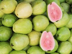 The Multifaceted Guava – La Guayaba Multifacética A close up of food